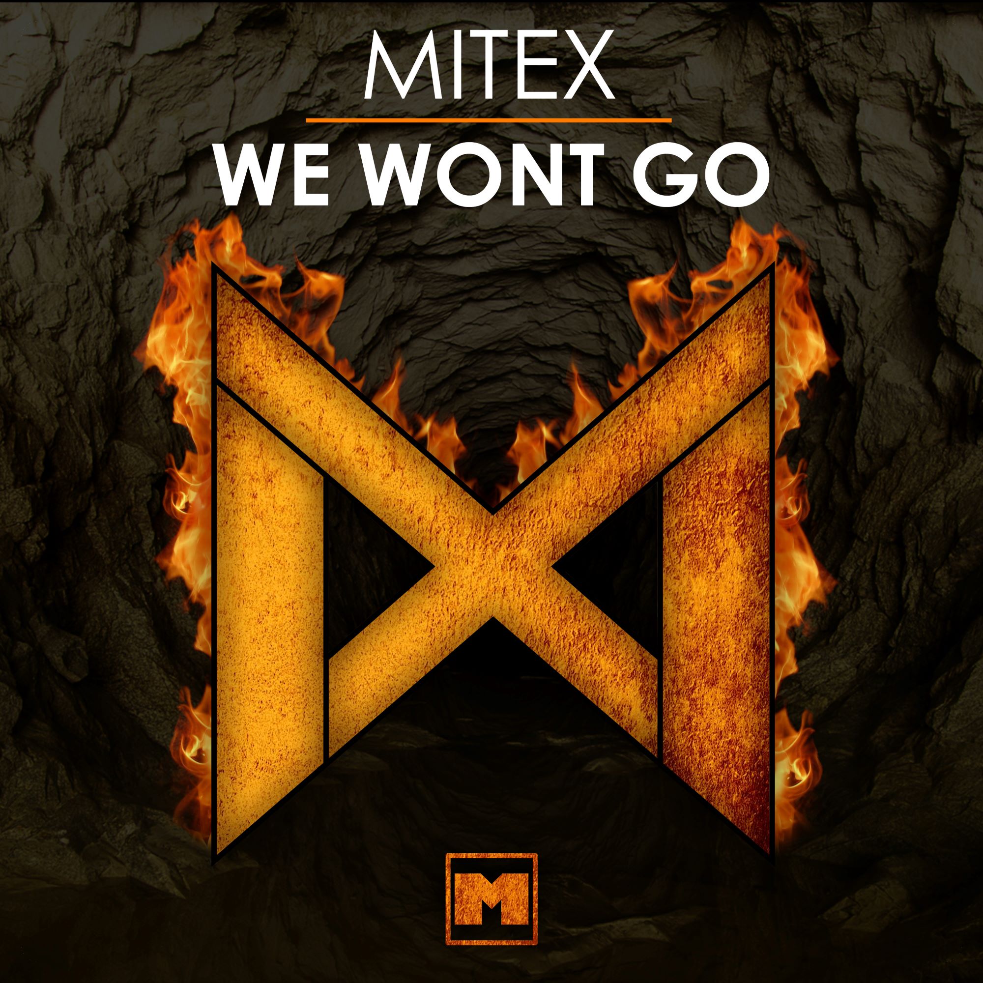 Albumcover We won't go